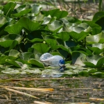 Экологичный гейминг и зеленые технологии в игровой индустрии