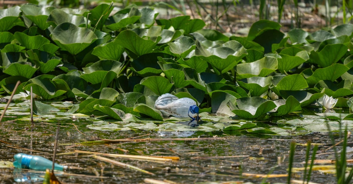 Экологичный гейминг и зеленые технологии в игровой индустрии
