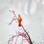 Экослот Hot Chilli символ ответственного гейминга для поколения Z