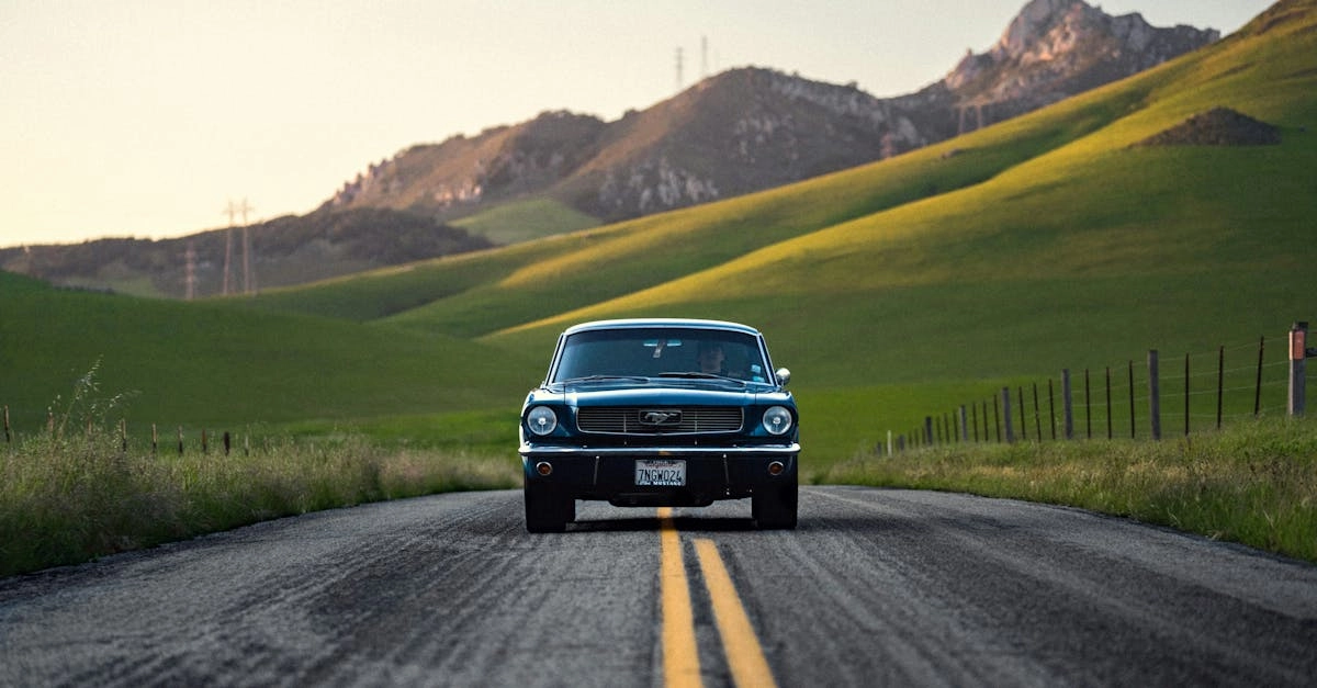 Дикие мустанги как символ экологического геймплея для поколения Z