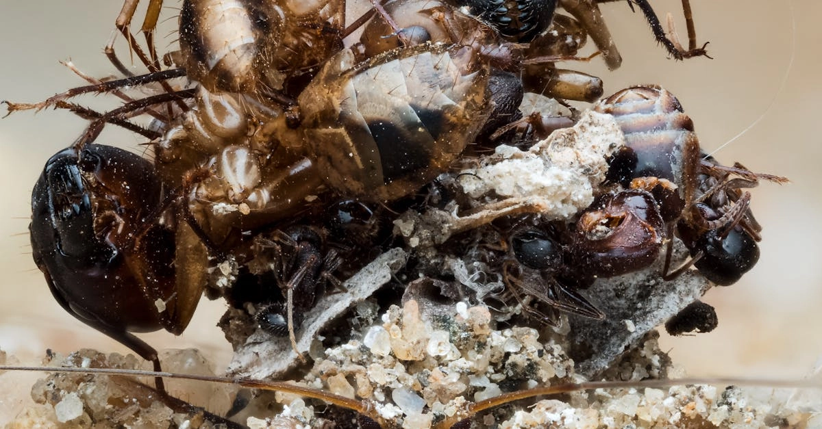 Геймификация экологии через призму популярных игровых механик