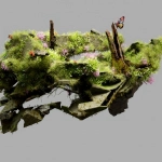 Рулетка в казино через призму экологического сознания поколения Z